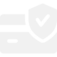 100% Secure Payments